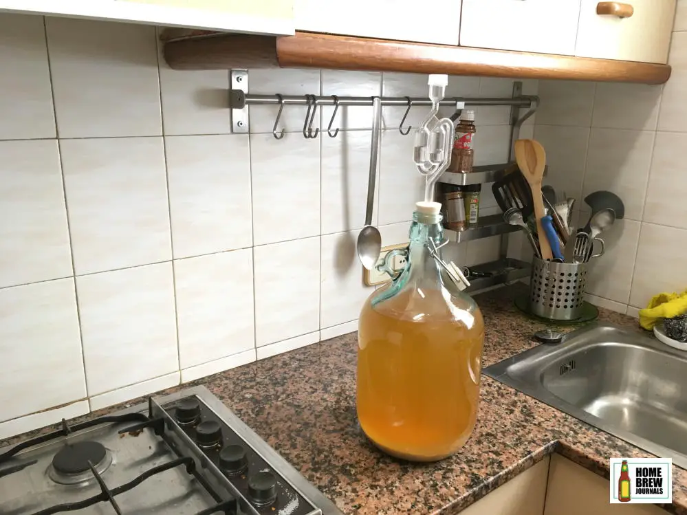 cider fermenting in a 5 litre demijohn