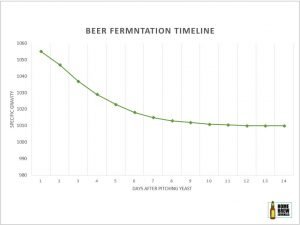 Fermentation timeline for homebrew beer