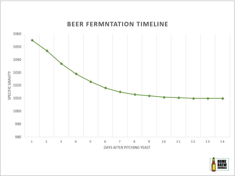 Simple Lager Fermentation Timeline 2023 AtOnce